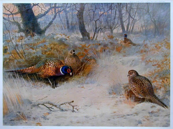 Archibald Thorburn Frost in the Coverts